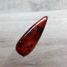 Load image into Gallery viewer, Tortoise