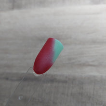 Load image into Gallery viewer, Everything But Ordinary