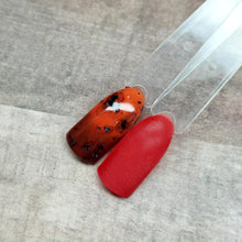 Load image into Gallery viewer, Tortoise