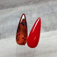 Load image into Gallery viewer, Tortoise