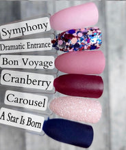 Load image into Gallery viewer, Carousel