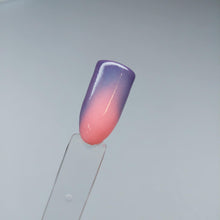 Load image into Gallery viewer, Too Cool For The Pool