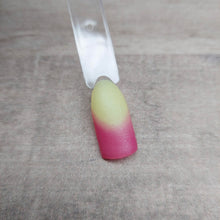 Load image into Gallery viewer, Pink Daisy