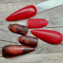 Load image into Gallery viewer, Tortoise