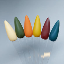 Load image into Gallery viewer, Old Money