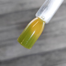 Load image into Gallery viewer, Pistachio Macaroon