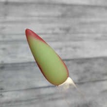 Load image into Gallery viewer, Grinchmas