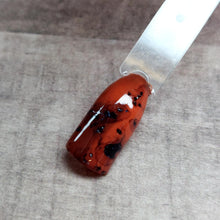 Load image into Gallery viewer, Tortoise