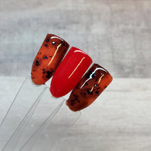 Load image into Gallery viewer, Tortoise