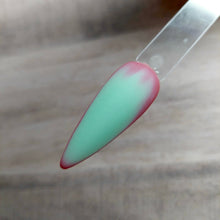 Load image into Gallery viewer, Everything But Ordinary