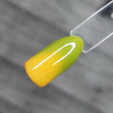 Load image into Gallery viewer, Pistachio Macaroon