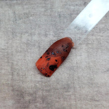 Load image into Gallery viewer, Tortoise