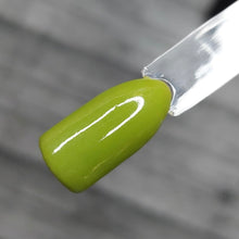 Load image into Gallery viewer, Pistachio Macaroon