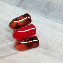 Load image into Gallery viewer, Tortoise