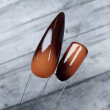 Load image into Gallery viewer, Bungle In The Jungle