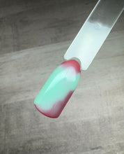 Load image into Gallery viewer, Everything But Ordinary