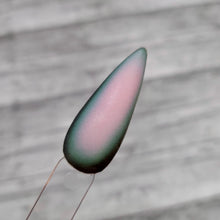 Load image into Gallery viewer, Good Enemy