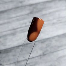 Load image into Gallery viewer, Bungle In The Jungle