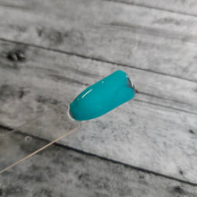 Load image into Gallery viewer, Not My First Rodeo