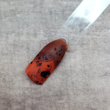 Load image into Gallery viewer, Tortoise