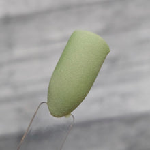 Load image into Gallery viewer, Matcha Latte