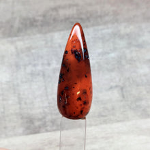 Load image into Gallery viewer, Tortoise