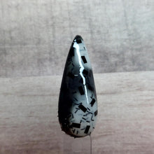 Load image into Gallery viewer, Natures Majesty