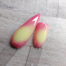 Load image into Gallery viewer, Pink Daisy