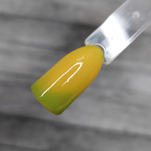 Load image into Gallery viewer, Pistachio Macaroon