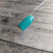 Load image into Gallery viewer, Not My First Rodeo