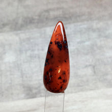 Load image into Gallery viewer, Tortoise