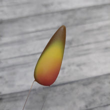 Load image into Gallery viewer, Holy Gaucamole