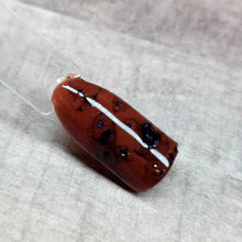 Load image into Gallery viewer, Tortoise