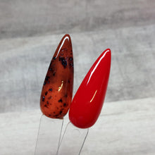 Load image into Gallery viewer, Tortoise