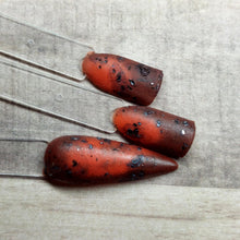 Load image into Gallery viewer, Tortoise