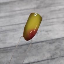 Load image into Gallery viewer, Holy Gaucamole