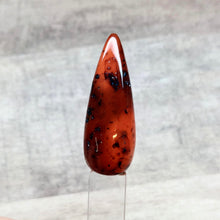 Load image into Gallery viewer, Tortoise