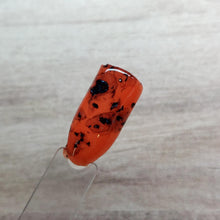 Load image into Gallery viewer, Tortoise