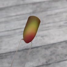 Load image into Gallery viewer, Holy Gaucamole