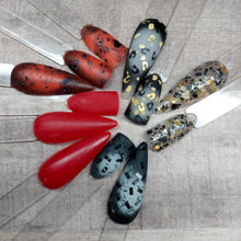 Load image into Gallery viewer, Tortoise