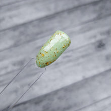 Load image into Gallery viewer, Fairy Castle Cactus