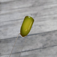 Load image into Gallery viewer, Holy Gaucamole