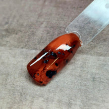 Load image into Gallery viewer, Tortoise