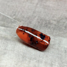 Load image into Gallery viewer, Tortoise