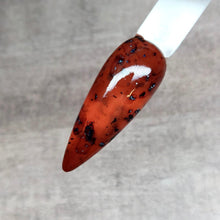 Load image into Gallery viewer, Tortoise