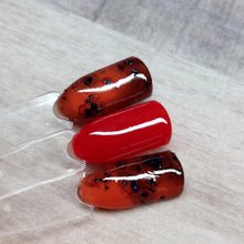 Load image into Gallery viewer, Tortoise