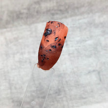 Load image into Gallery viewer, Tortoise