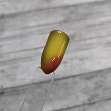 Load image into Gallery viewer, Holy Gaucamole