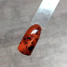 Load image into Gallery viewer, Tortoise