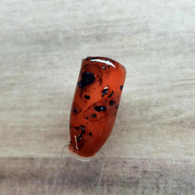 Load image into Gallery viewer, Tortoise